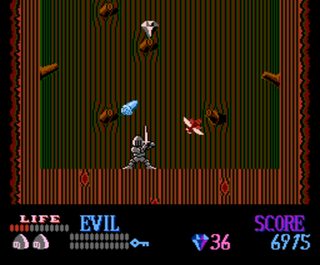 Wizards and Warriors